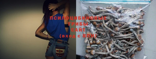 стафф Пролетарск