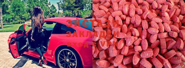 стафф Пролетарск