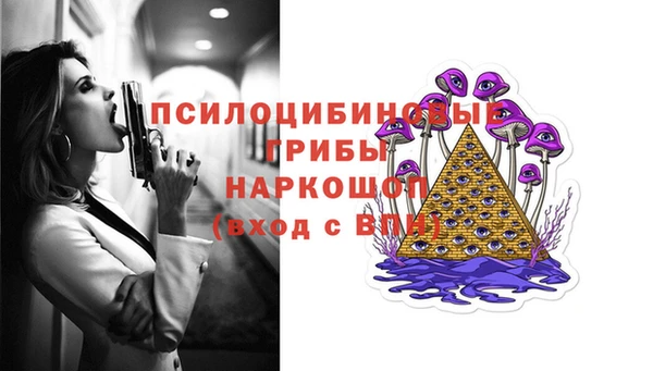 ПСИЛОЦИБИНОВЫЕ ГРИБЫ Покров