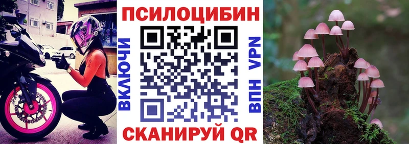 kraken рабочий сайт  Пустошка  Галлюциногенные грибы Cubensis 